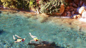 discovery-cove-orlando3