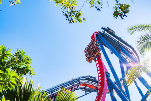 Источник - официальный инстаграм-аккаунт парка @buschgardens